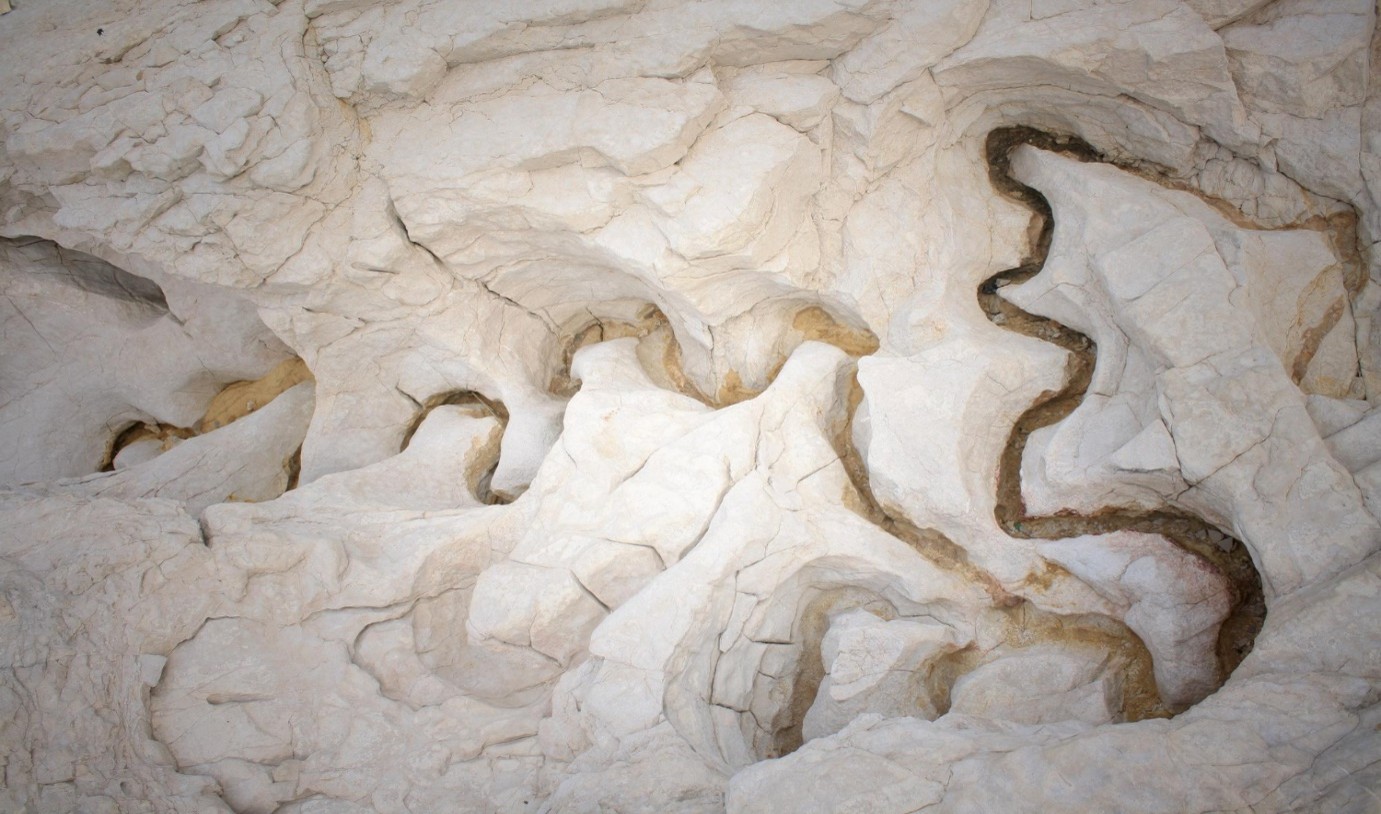 Horn 2